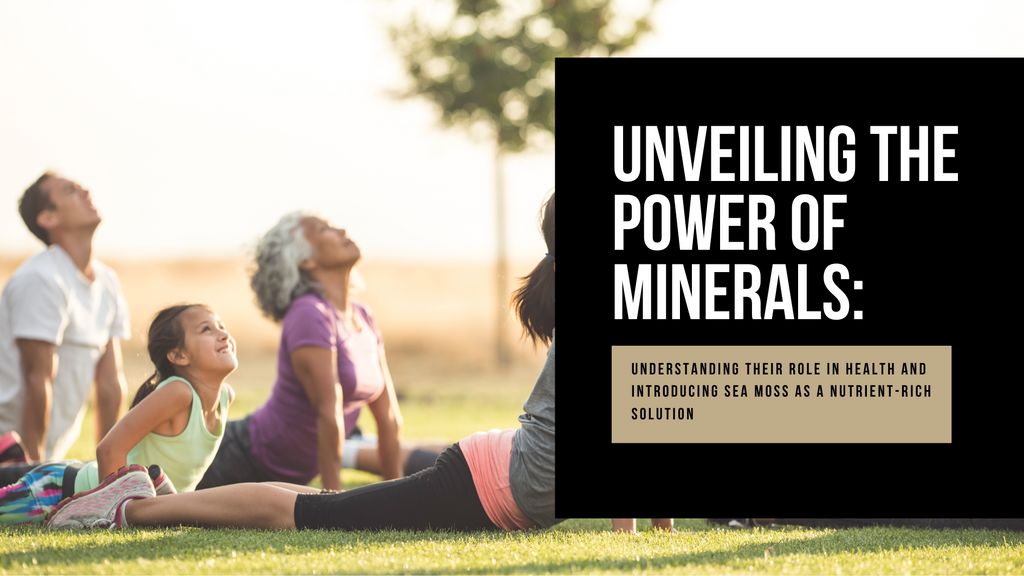 Unveiling the Power of Minerals: Understanding Their Role in Health and Introducing Sea Moss as a Nutrient-Rich Solution